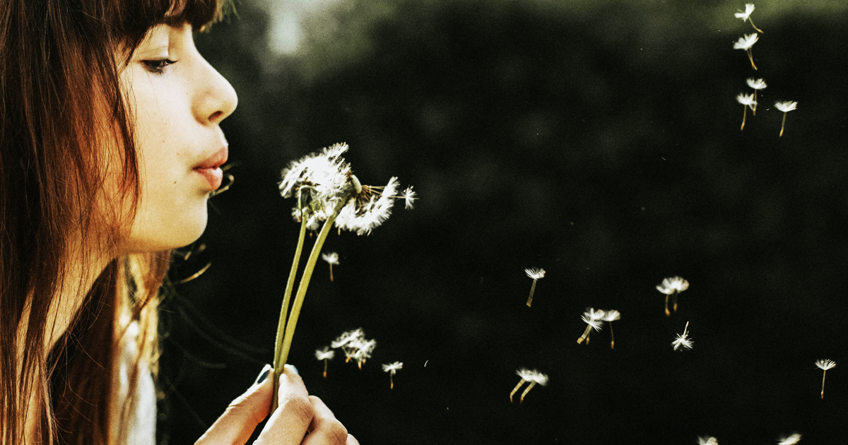 causism-institute-mace-energy-method-john-avery-the-power-of-our-feelings